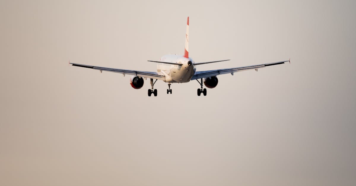Zo boek je jouw zomervakantie voordelig met Flying Blue Promo Awards